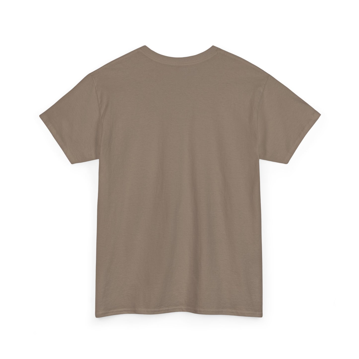 USA Raccoon Flag T-Shirt — "Two Fiddy" Patriotic 1776 Tee